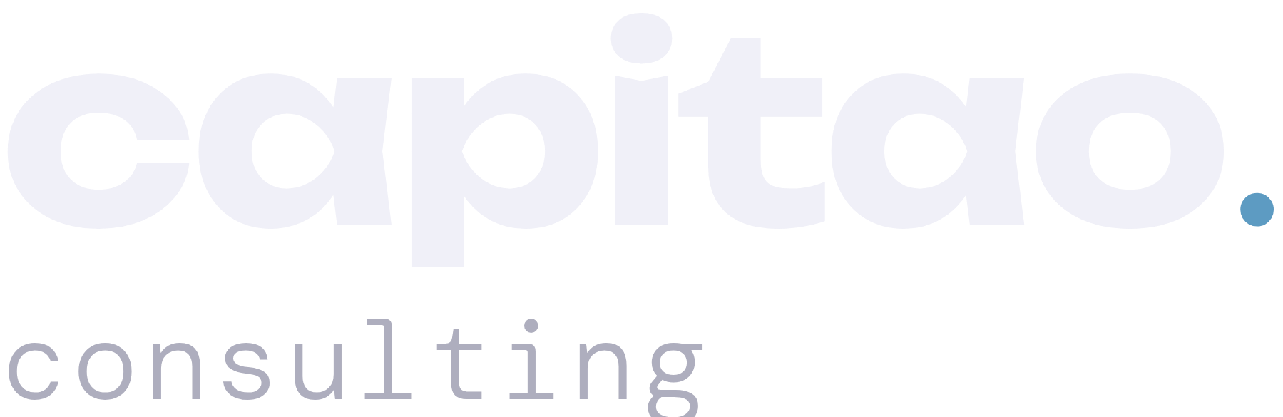 capitao consulting